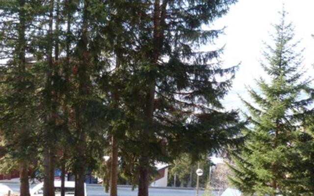 Appartement Les Arcs 1800, 1 pièce, 5 personnes - FR-1-411-209