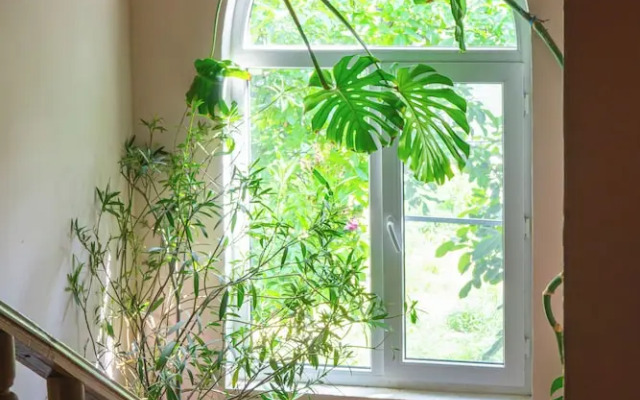 Etiuni The Forgotten Kingdom