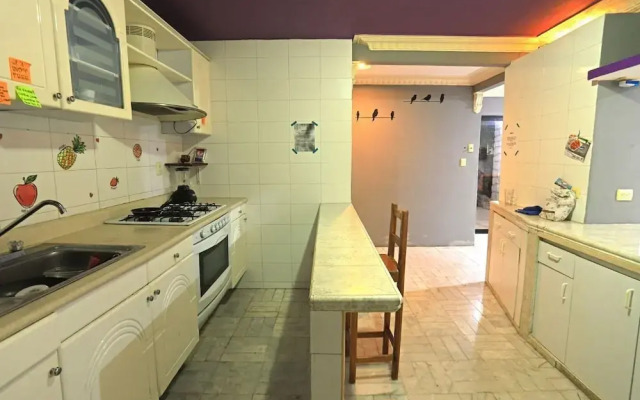 Indigo Hostel Cancun