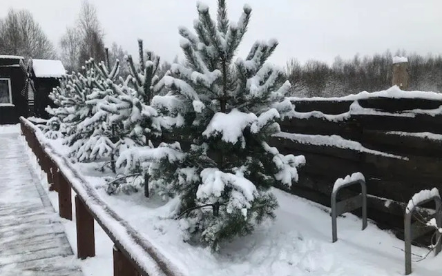 Novokurovo