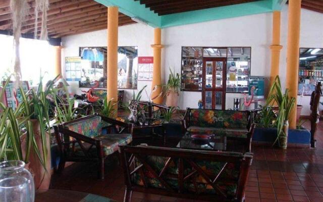 Tropical Refuge