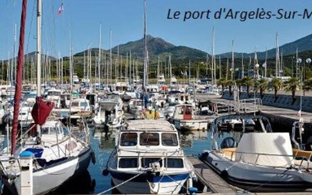 Appartement Argelès-sur-Mer, 2 pièces, 4 personnes - FR-1-225-59