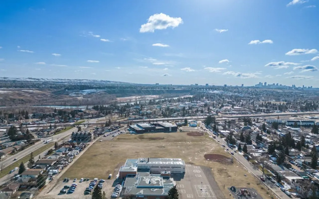 The Owl Petsok 3 Queenbd Firepit 3smarttvs