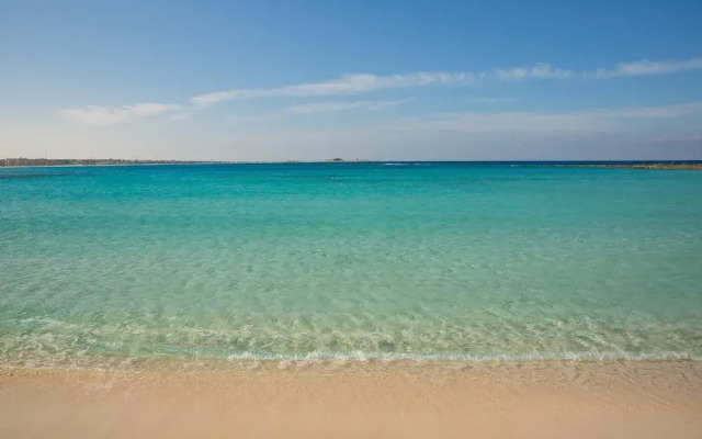 Nirvana Wellness Huts-White Bay