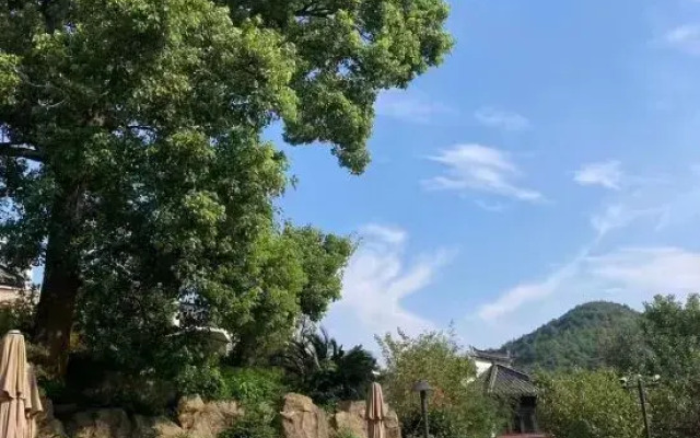LOSTVILLA(Zhoushan Nandong)