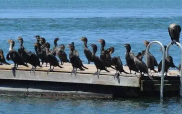 Knights Key RV Park