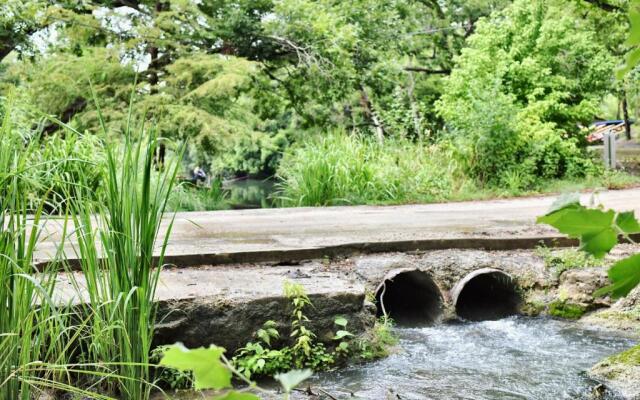 2 Son's Geronimo - Birdhouse Cabin