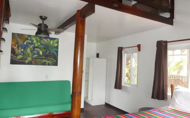 Green Parrot Beach Houses and Resort