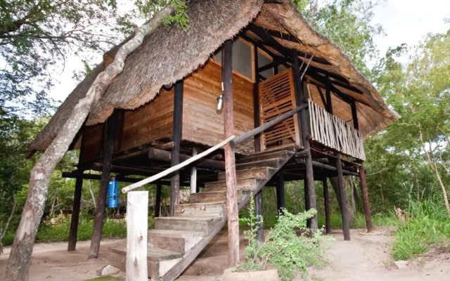 Miombo Safari Camp