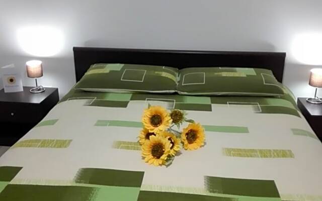 Girasole Grazioli 47