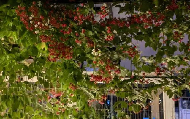 Yali Garden (Chaozhou Ancient City Arch Street Store)