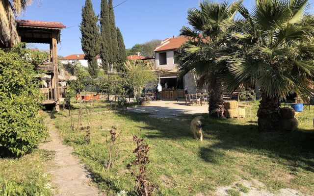Zirkon Doga Butik Otel