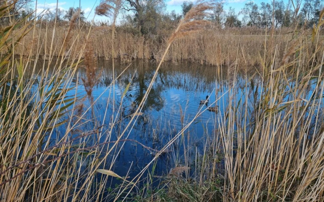 La Cabane du Boumian