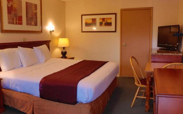 Red Carpet Inn Berlin