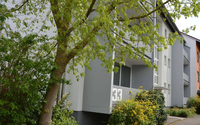 Neu Heidelberg - Guesthouse & Apartments
