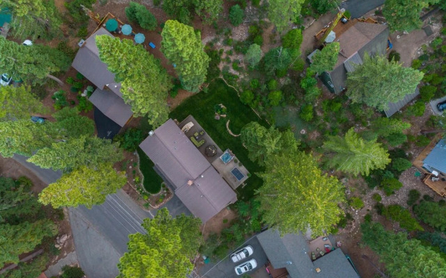 Cedar in Carnelian Bay
