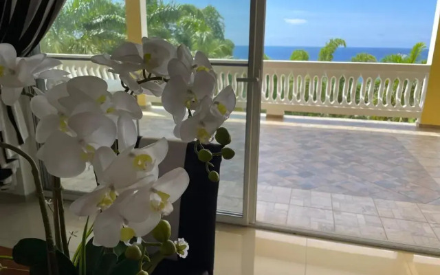Spring Garden Mobay Resort Luxurious Apartments