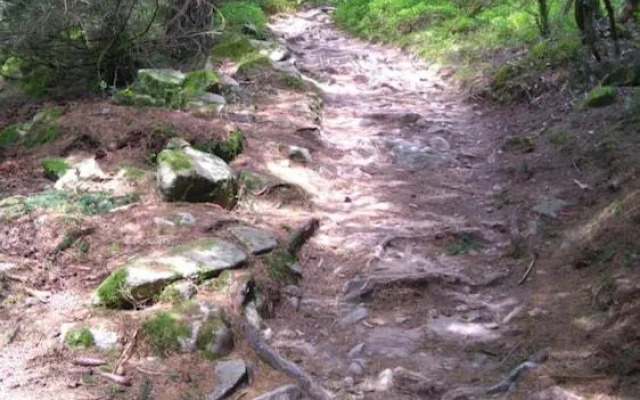 VVF Club Intense La Route des Vins d'Alsace Orbey