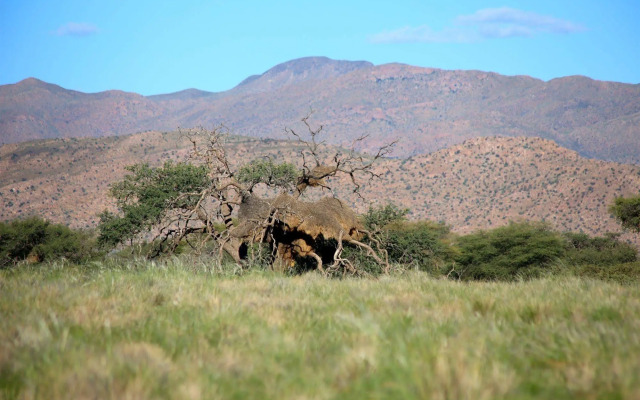 Solitaire Guest Farm