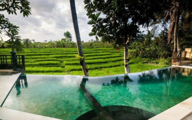 Lavillabali Rice Fields Terrace Canggu