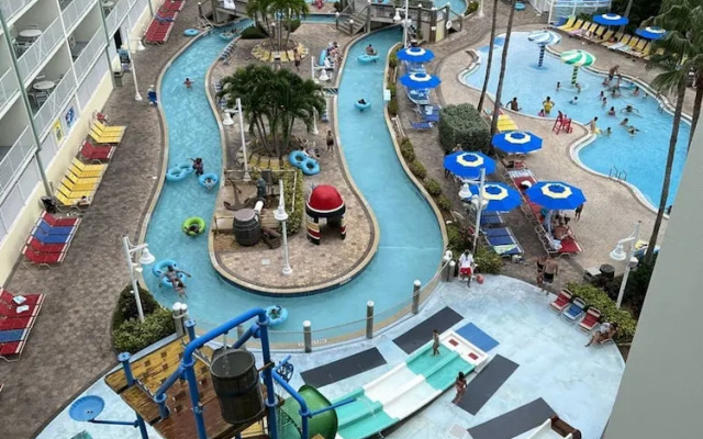 The Old Man the Sea-seaview 101