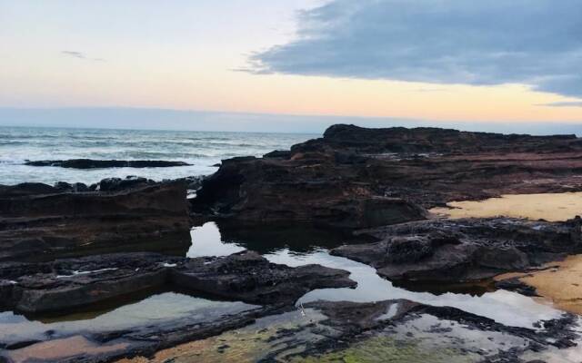 Alberta's Palace Beach Resort