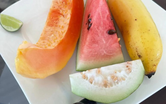 Morning Guest can see Momkeyies and Birds