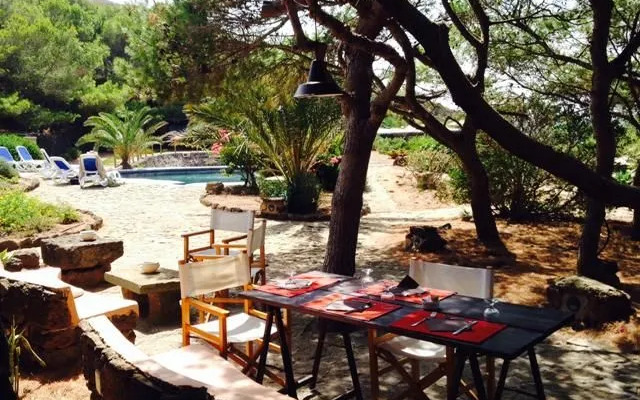 Euterpini - Dammuso Agave