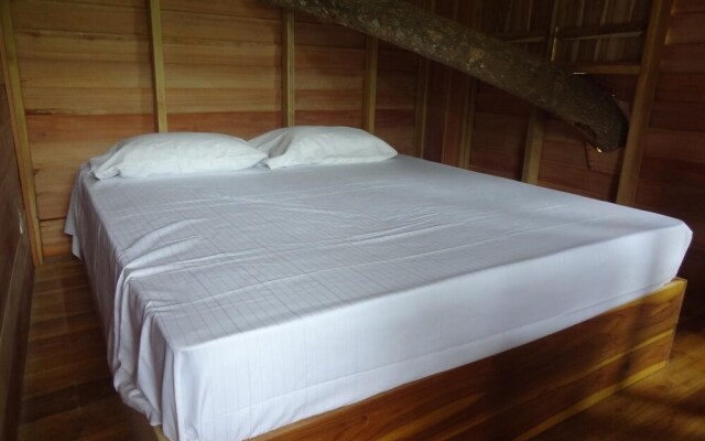 Wilpattu Tree House Hotel