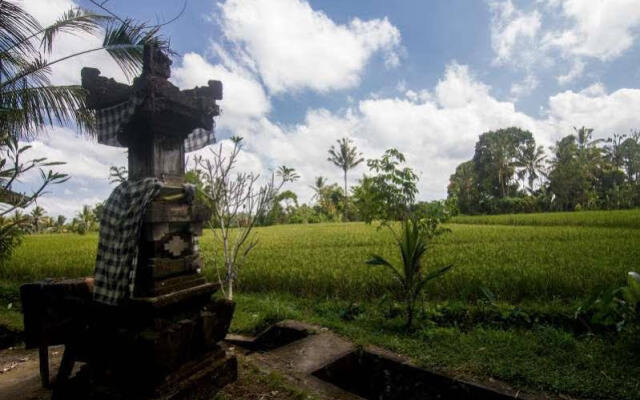 Step Ubud Hotel Mountain View