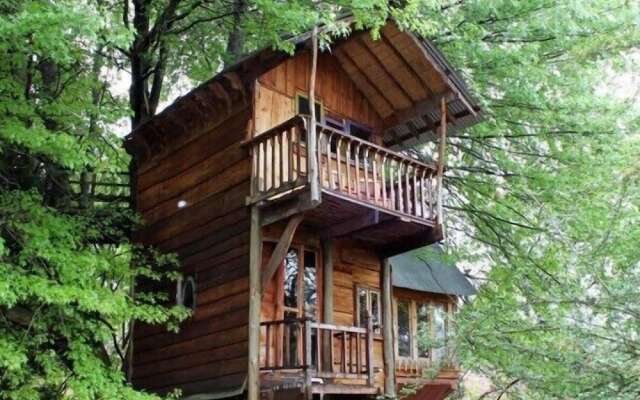 Sycamore Avenue Treehouses