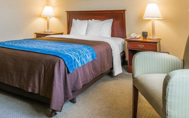 Rodeway Inn - фото 2