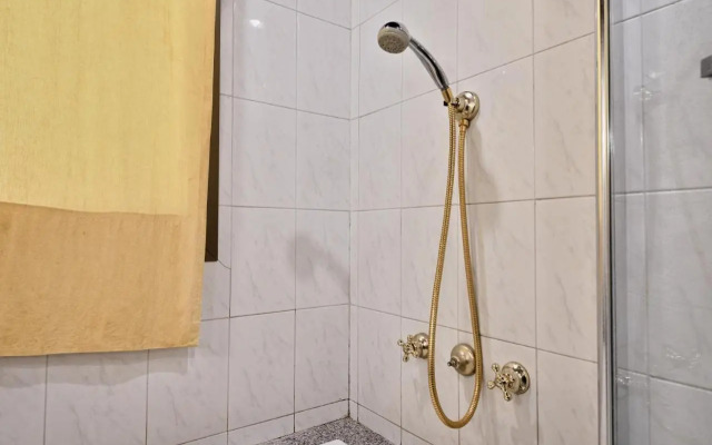 Central Apartment