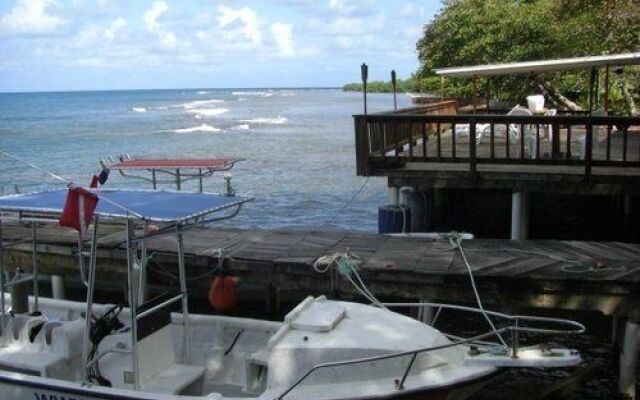 Panama Divers & Octopus Garden Dive Center