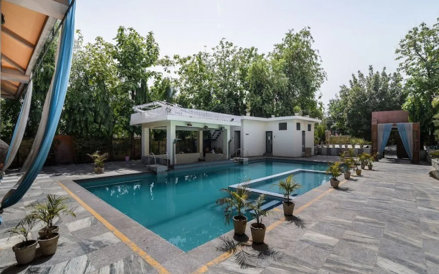 Damore Hotels And Resorts