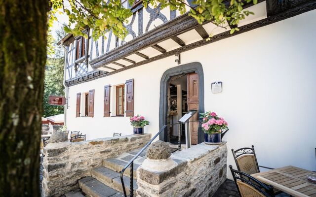 Landgasthof zur Burg Grenzau Hotel