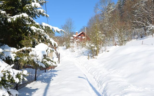 Modern Mansion in Bene ov u Semil With Pool