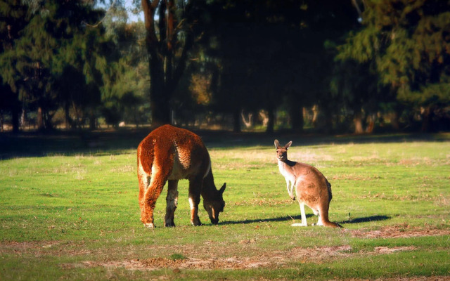 Enderslie House Bed & Breakfast
