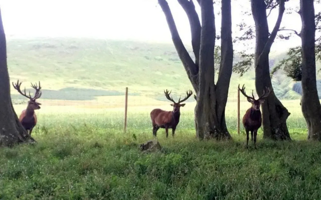 Mauldslie Hill Cottage