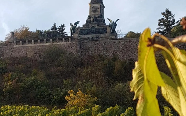 Rheingau und Weltkulturerbe Mittelrheintal erleben - Ferienappartement in Winkel