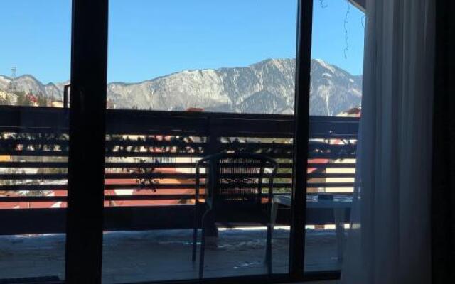 Villa-Garden Apart Predeal-Mountain view