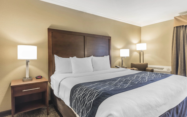 Comfort Inn Sunnyvale - Silicon Valley