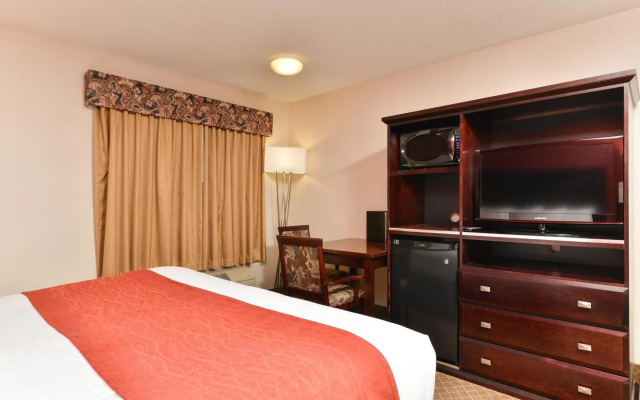 Comfort Inn & Suites Airport South