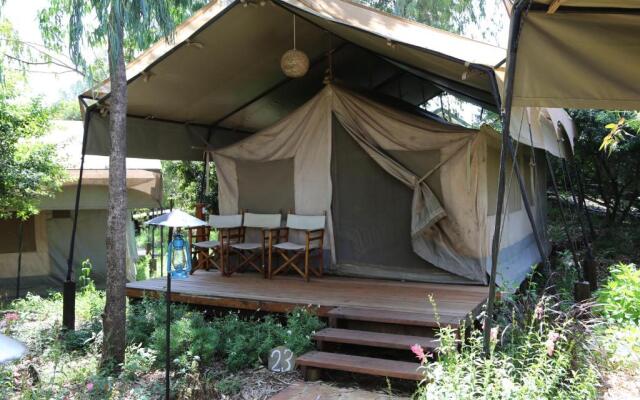 Wildebeest Eco Camp