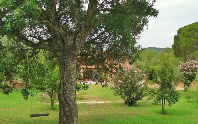 Home Garden