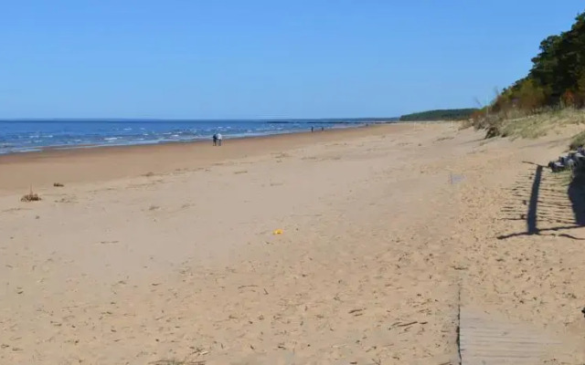 Vilde