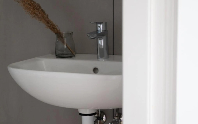 Palmes.pirmas.sezonas