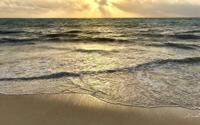 Playa Del Carmen - Beautiful Studio 2