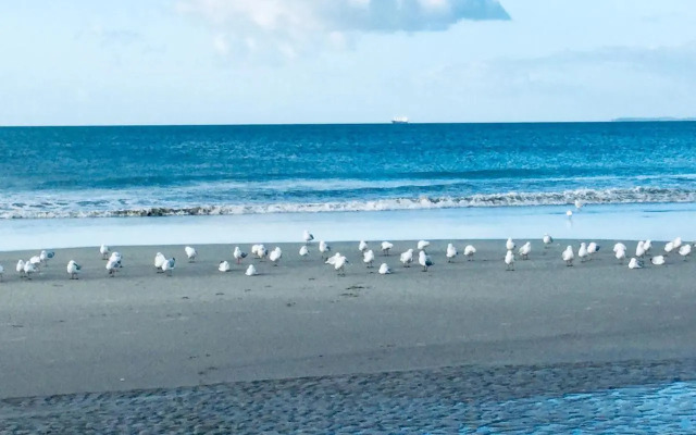 Absolute Beach