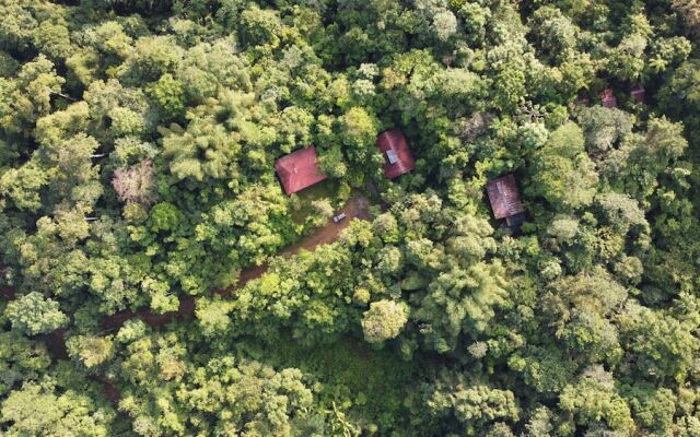 Yatama Ecolodge Sarapiqui